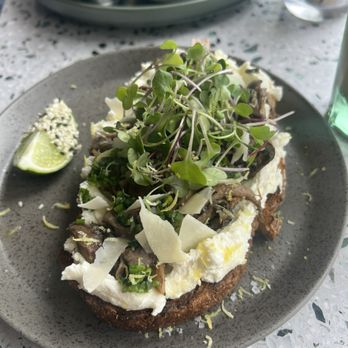 Surry Hills Coffee - Mushroom Ricotta Mushie Toast - Coffee & Tea Near Me - Miami, Florida Surry Hills Coffee - Mushroom Ricotta Mushie Toast - Coffee & Tea Near Me - Miami, Florida
