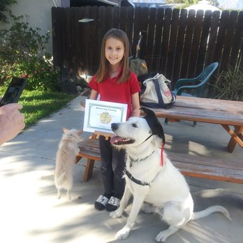 Master Dog Training - Milo's graduation! - Pet Training Near Me - Temple City, California