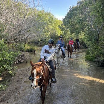 Sea Horse Ranch - Horseback Riding Near Me - Half Moon Bay, California Sea Horse Ranch - Horseback Riding Near Me - Half Moon Bay, California