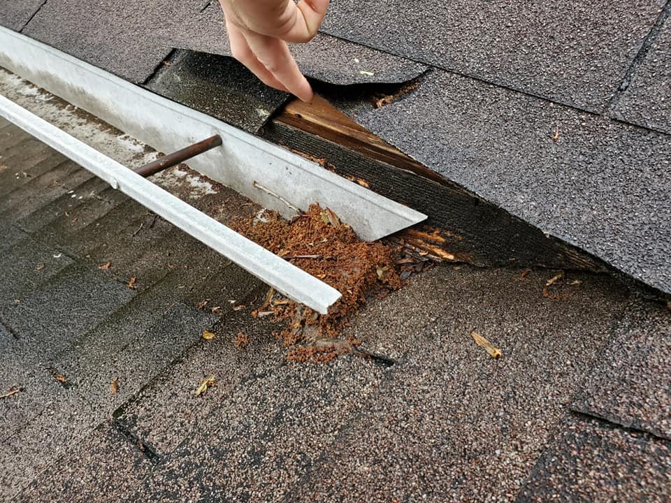 Slide of Wii Care Plus