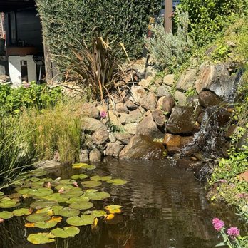 Elliston Vineyards - Wineries Near Me - Sunol, California