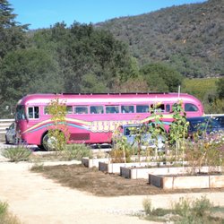 The JellyBus - Glam photo of the JellyBus