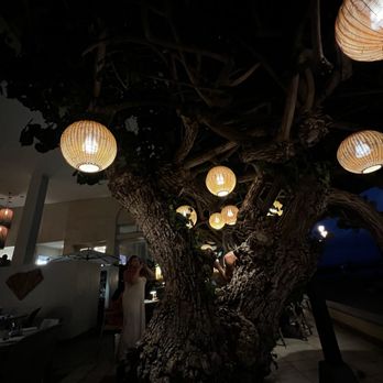 Hau Tree - Seafood Near Me - Honolulu, Hawaii Hau Tree - Seafood Near Me - Honolulu, Hawaii