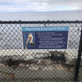 Coast Guard Wharf - Watch out. - Landmarks & Historical Buildings Near Me - Monterey, California