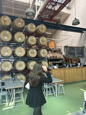 Mikkeller Baghaven by null