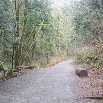 Snoqualmie Falls - The hiking trail down to the river viewing areas. - Parks Near Me - Snoqualmie, Washington