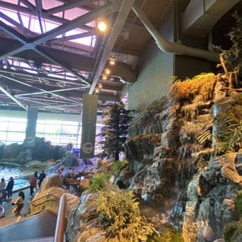 Shedd Aquarium - Aquariums Near Me - Chicago, Illinois