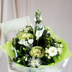 Edelweiss - Glorious White