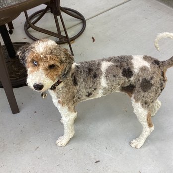 Happy Pets Grooming Spa - Happy Pets - Pet Groomers Near Me - Fenton, Missouri