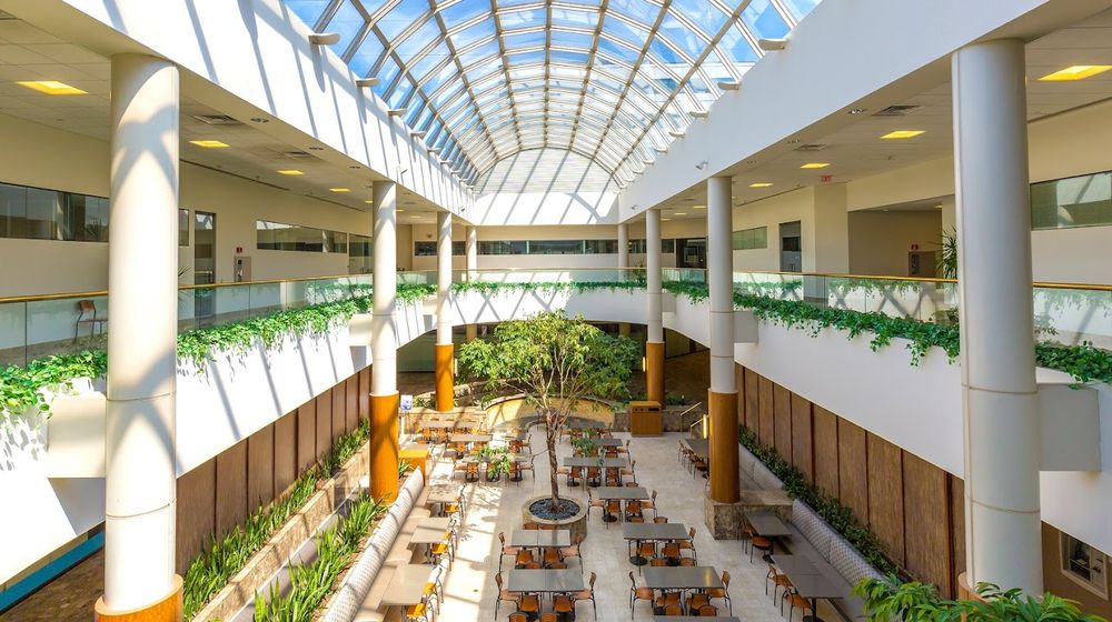 THE CENTER FOR DEVELOPMENTAL PSYCHIATRY Updated June 2024 400 Frank