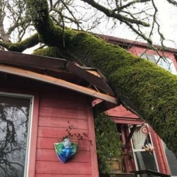 Marvin's Garden Tree Services - Tree Services Near Me - Willits, California Marvin's Garden Tree Services - Tree Services Near Me - Willits, California