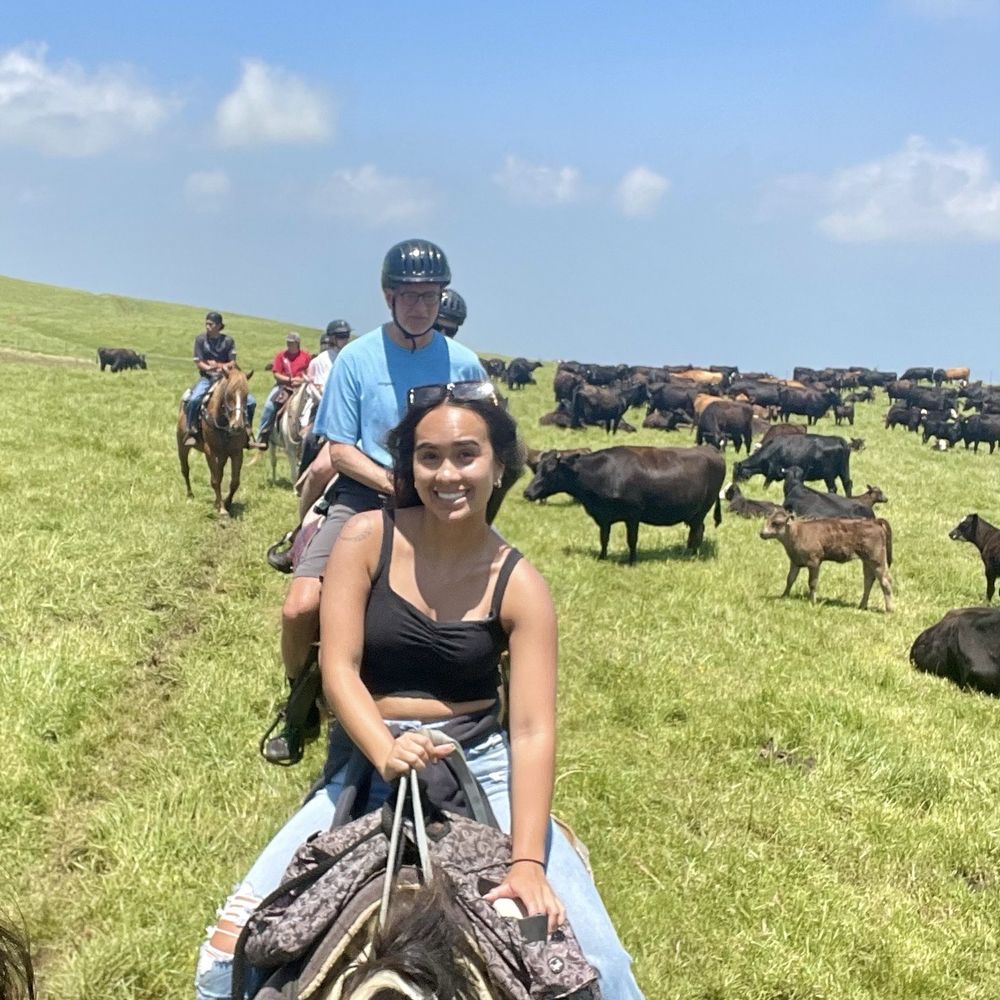 Na'alapa Stables - Horseback Riding Near Me - Kamuela, Hawaii Na'alapa Stables - Horseback Riding Near Me - Kamuela, Hawaii