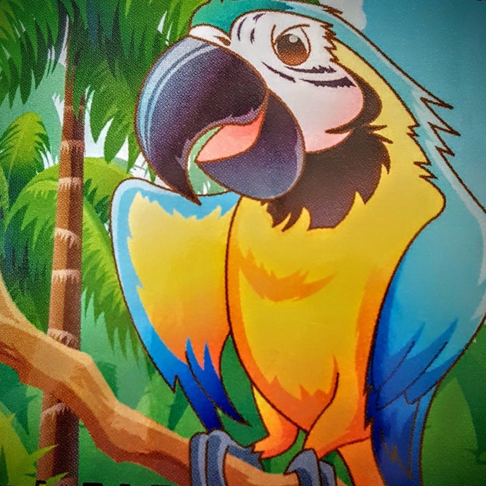 Blue Macaw Coffee Roasters - a colorful parrot perched on a branch - Coffee Roasteries Near Me - Brunswick, Georgia