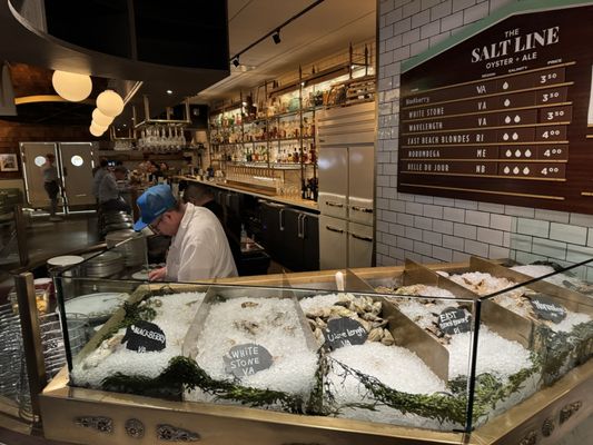 The Salt Line by null
