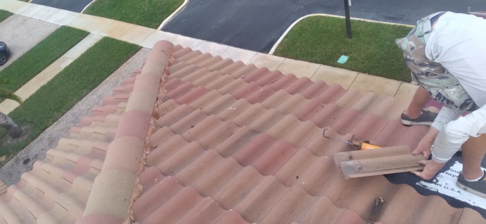 Slide of Bert the roofer