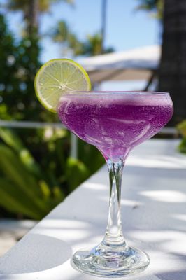 Meet Dalia - Mediterranean restaurant in Miami Beach by null