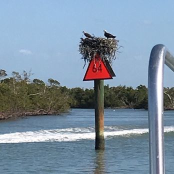 Pure Florida - Boat Charters Near Me - Naples, Florida Pure Florida - Boat Charters Near Me - Naples, Florida