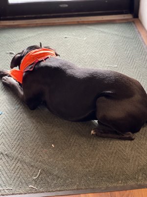 Rock Art Brewery by null