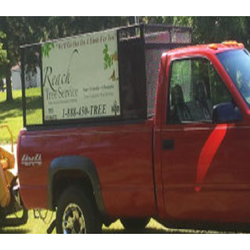 Reach Tree Service