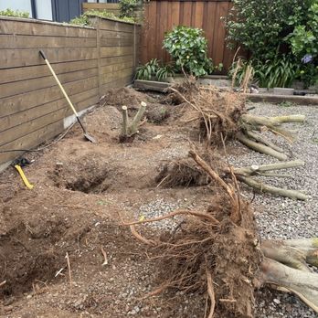 Arvizus Landscaping - Tree stumps removal in stinson beach 
5108372680 call me or text me - Carpenters Near Me