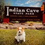 Photo of Bark N' Train