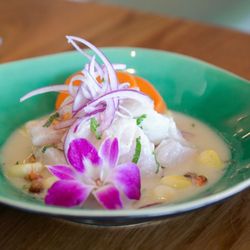 Ayawaska RestoBar- Petaluma - Ceviche Clasico