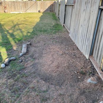 Jorge Salinas Tree Service - The area was left like a tree was never there. - Tree Services Near Me - Ventura, California Jorge Salinas Tree Service - The area was left like a tree was never there. - Tree Services Near Me - Ventura, California