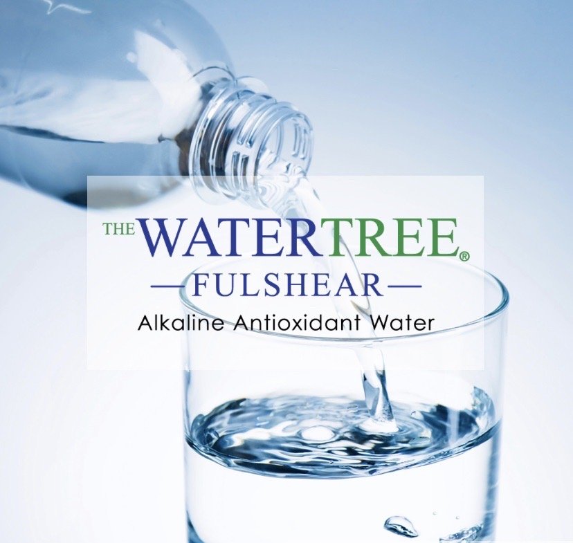 THE WATERTREE FULSHEAR Updated September 2024 11525 S Fry Rd