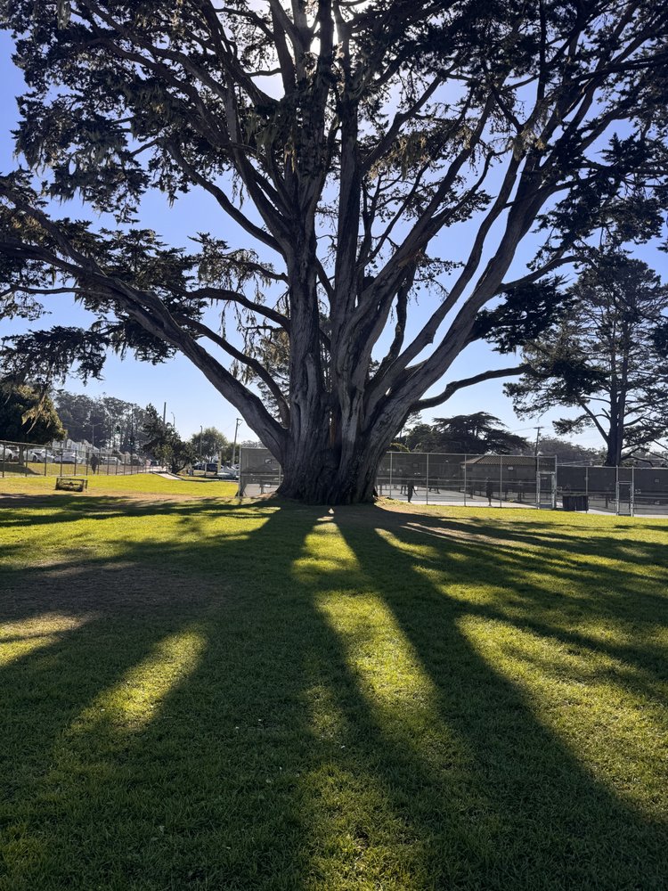 Workout on the Hill Logo
