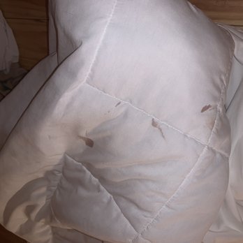 Huttopia White Mountains - Dried blood on duvet - Campgrounds Near Me - Albany, New Hampshire