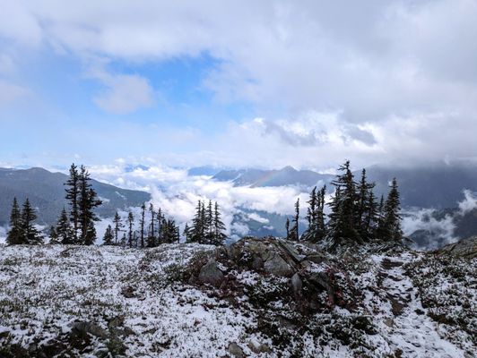 North Cascades National Park by null