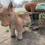 Photo of Yeya's Antiques & Oddities