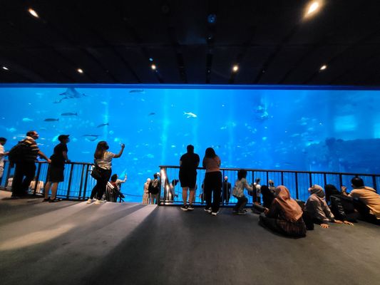 Singapore Oceanarium by null