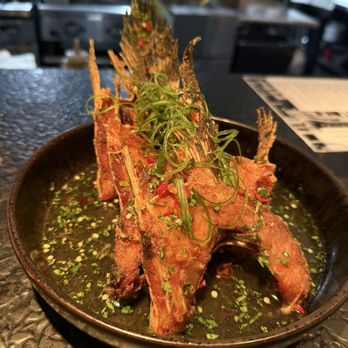 Rooster & the Till - Cobia Collar- sooo crispy - New American Near Me - Tampa, Florida