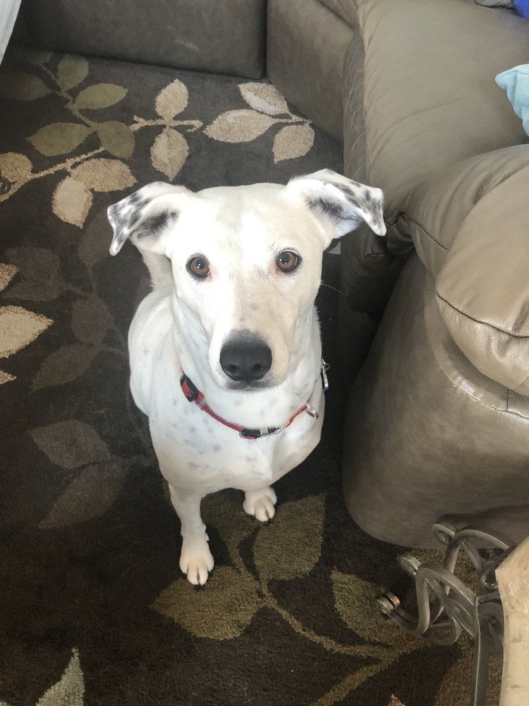 Slide of All City Plumbing