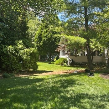 Cajete Tree Service - Stump ground and property all cleaned up. - Tree Services Near Me Cajete Tree Service - Stump ground and property all cleaned up. - Tree Services Near Me