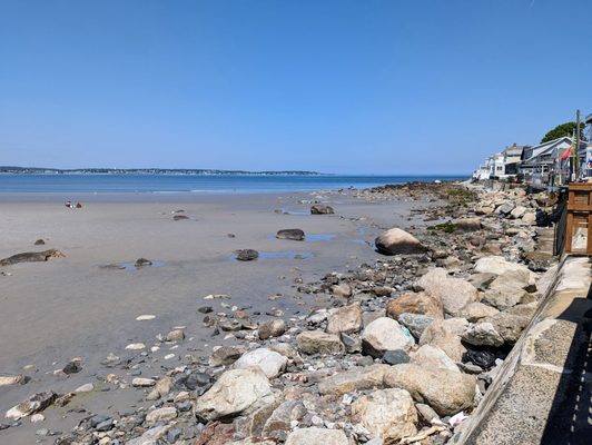 Nahant Beach by null