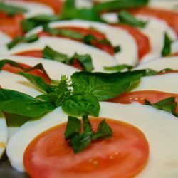 König's - Mozzarella mit Tomaten
