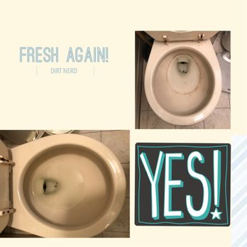 Dirt Nerd - Put seat down for every flush to avoid fecal bacteria spread. It is also a good idea to always keep your toothbrush in the cabinet. - Home Cleaning Near Me Dirt Nerd - Put seat down for every flush to avoid fecal bacteria spread. It is also a good idea to always keep your toothbrush in the cabinet. - Home Cleaning Near Me