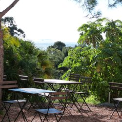Le Café des Jardiniers