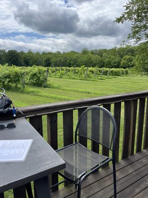 Sarah's Vineyard by null