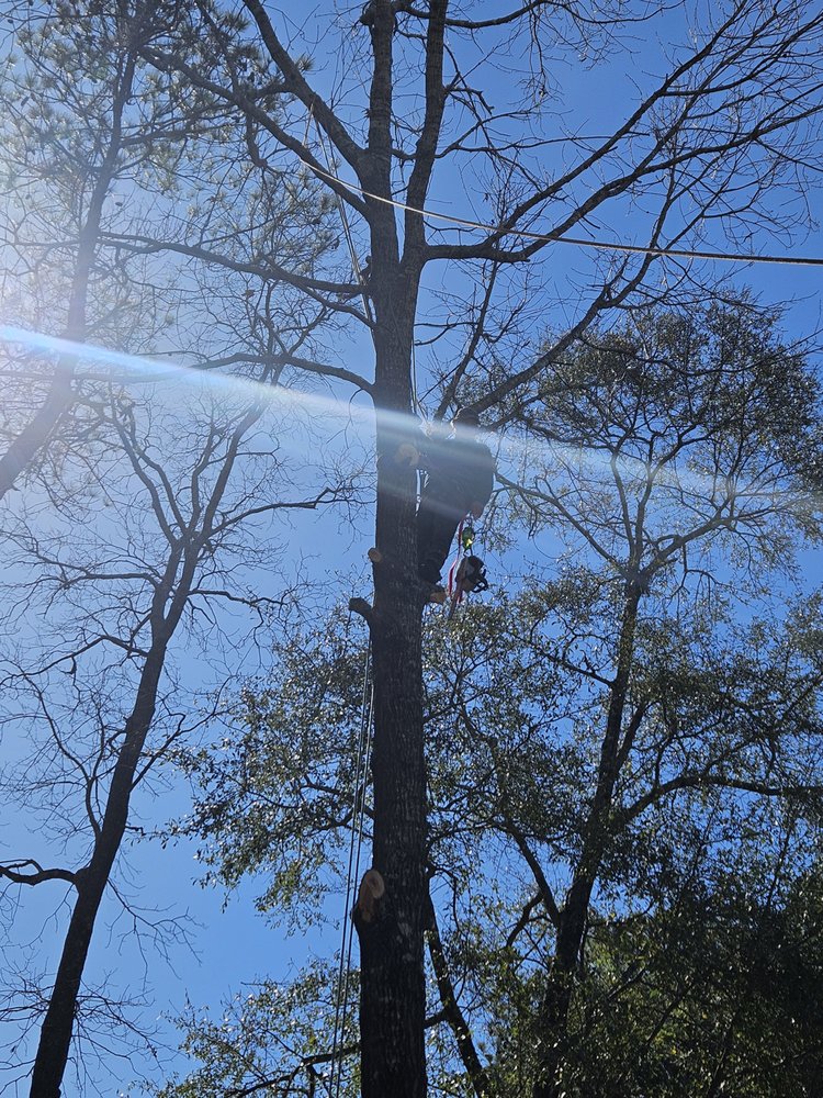 Pitts Landscaping and Tree Service - tree service in Montgomery, AL