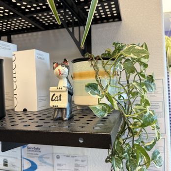 Laughing Cat Coffee - Coffee & Tea Near Me - Reno, Nevada Laughing Cat Coffee - Coffee & Tea Near Me - Reno, Nevada