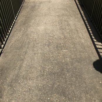 Central Mississippi Softwash - A dirty walkway. - Pressure Washers Near Me Central Mississippi Softwash - A dirty walkway. - Pressure Washers Near Me