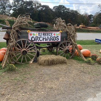 BJ Reece Orchards - Fruits & Veggies Near Me - Ellijay, Georgia
