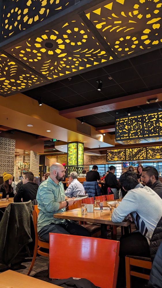 Cactus Restaurants - Bellevue Square