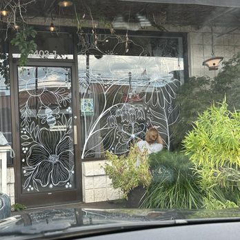 Maxie B's - Bakeries Near Me - Greensboro, North Carolina Maxie B's - Bakeries Near Me - Greensboro, North Carolina