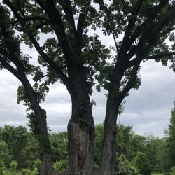 Cascade Valley Metro Park - Chuckery Area
