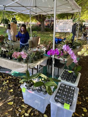 Union City Farmers' Market by null