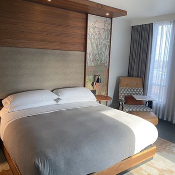 Canopy by Hilton Tempe Downtown - Room - Hotels Near Me - Tempe, Arizona Canopy by Hilton Tempe Downtown - Room - Hotels Near Me - Tempe, Arizona